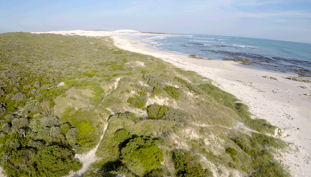 Brandfontein-Beach